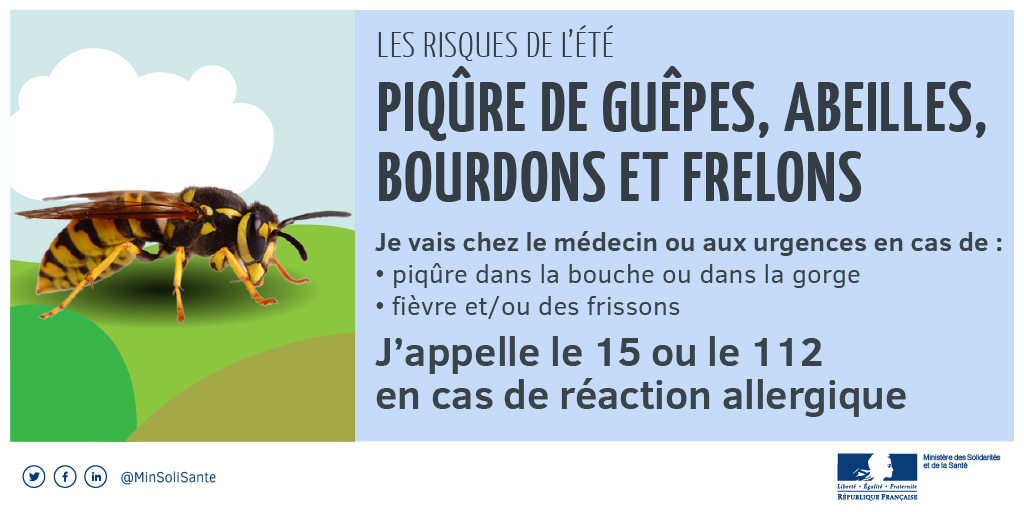 guêpes, abeilles, bourdons et frelons :  en cas de piqûre dans la bouche ou dans la gorge, je suce un glaçon et je consulte immédiatement un médecin ou je me rends aux urgences ; En cas de réaction allergique, j’appelle immédiatement le 15 ou le 112