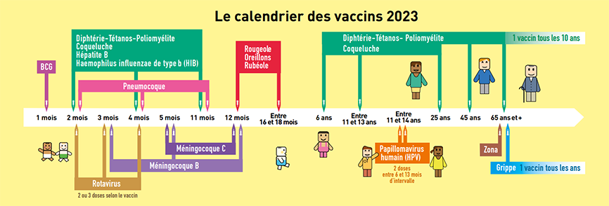 Frise vaccination 2023