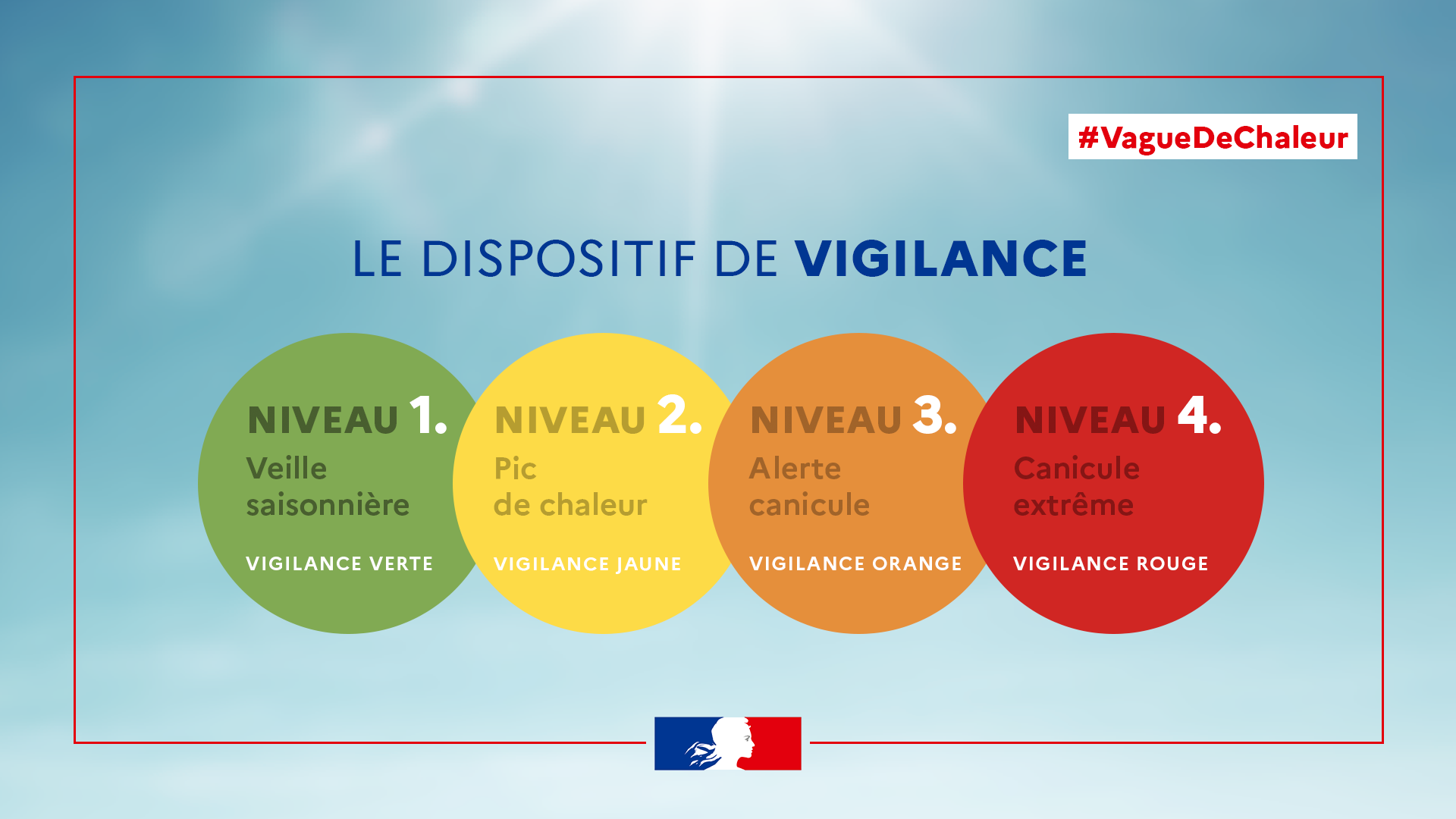 Le dispositif de vigilance :- description ci-après