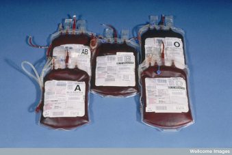 Photo présentant 5 poches de sang