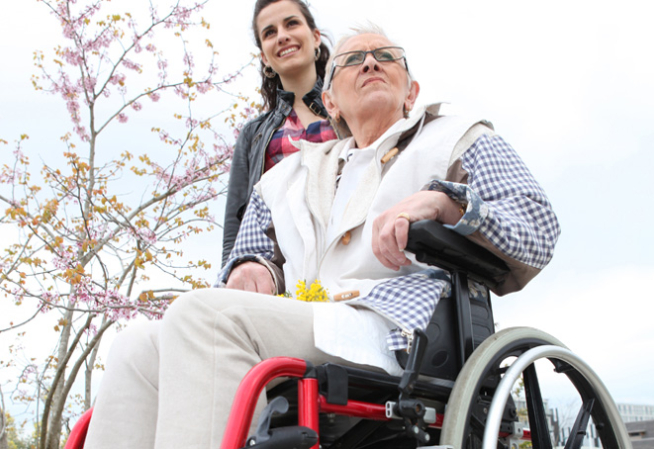 Jeune femme poussant une personne âgée dans un fauteuil roulant, dans un jardin