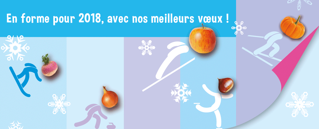Meilleurs voeux 2018